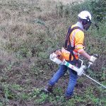Image of Brush Cutting worker in the Tufa Field