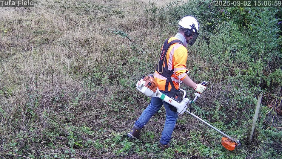 Image of Brush Cutting worker in the Tufa Field