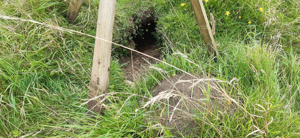 Picture of Fox Den at the Tufa Field