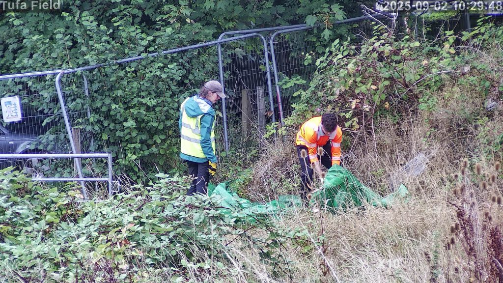 Workers removing old reptile fence from the Tufa Field