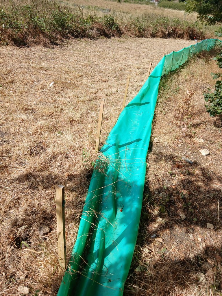 Picture of broken reptile fence North end Tufa Field SNCI