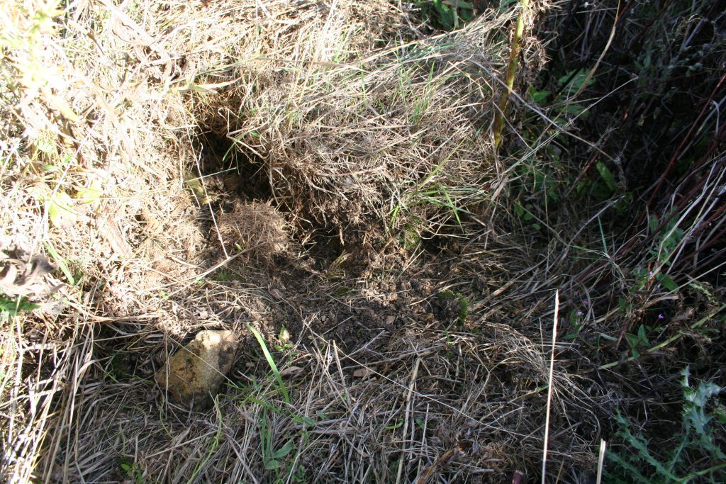 Picture of landslip at Tufa Field